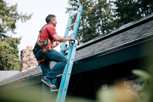 Best Solar Panel Roofing Installation  in Country Clu, FL